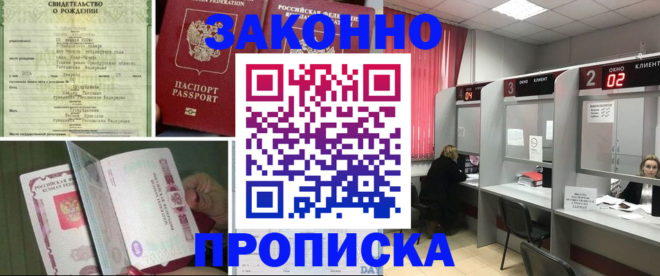 прописка в квартире в Мончегорске